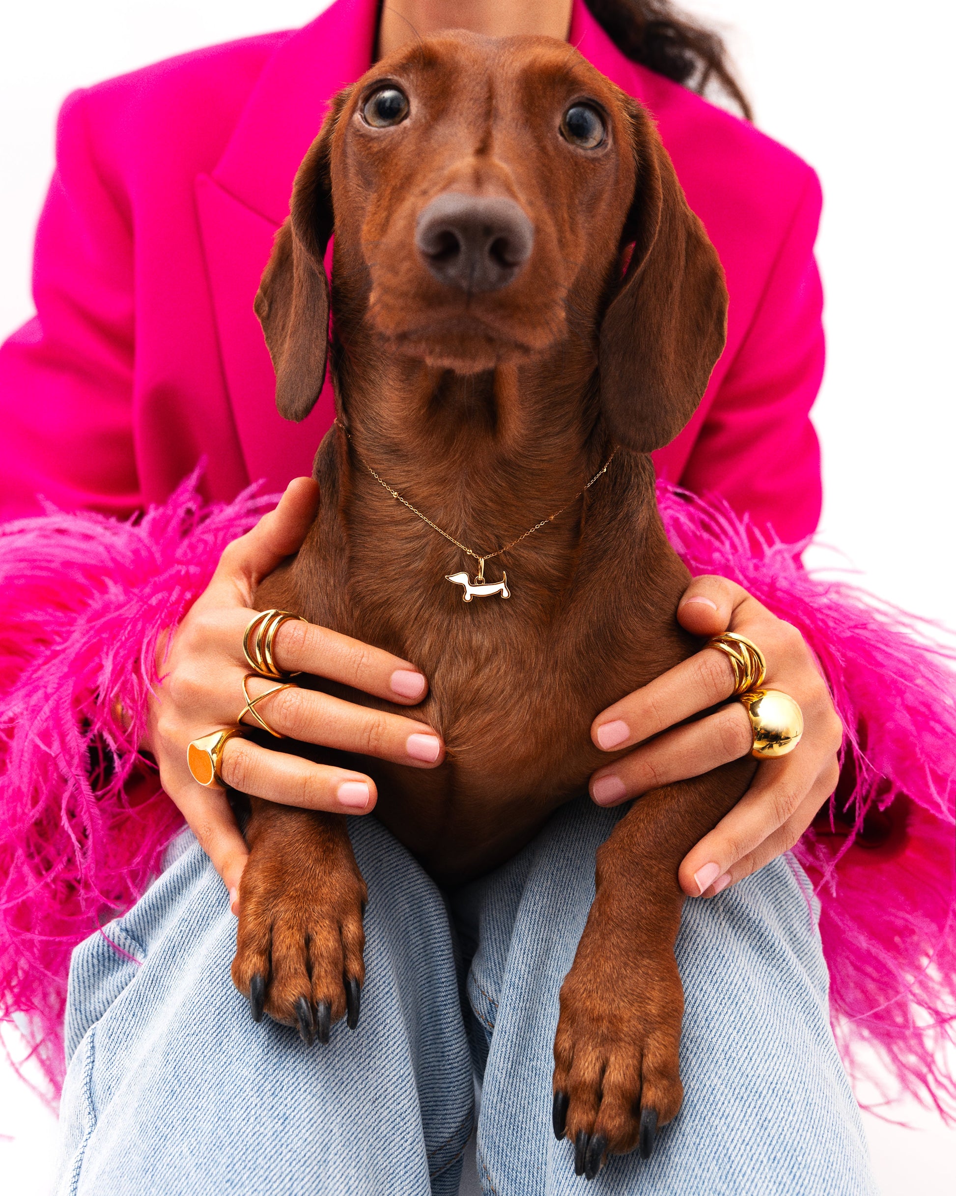 Charm de Perro Teckel con Esmalte Blanco y Baño de Oro