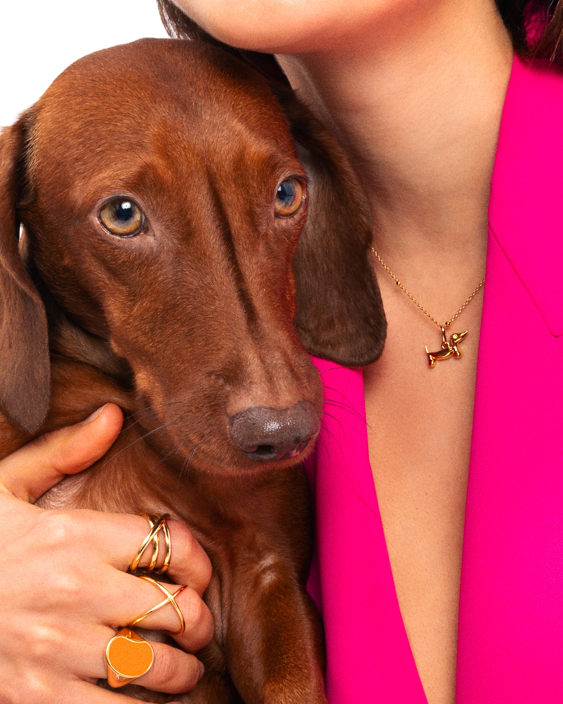 Charm de Perro Teckel con Esmalte Blanco y Baño de Oro